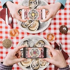 ¿Cerámica o Acero Inoxidable? Comparativa de Platos para Ostras