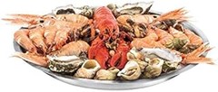 Comparativa de fuentes para marisco: cerámica frente a acero inoxidable