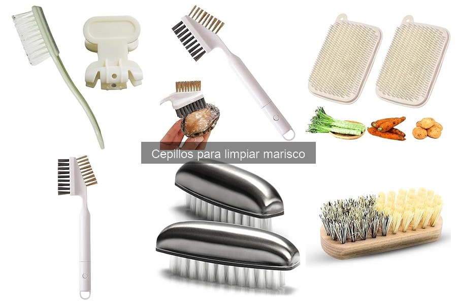 Alternativas a cepillos para limpiar marisco: métodos eficaces