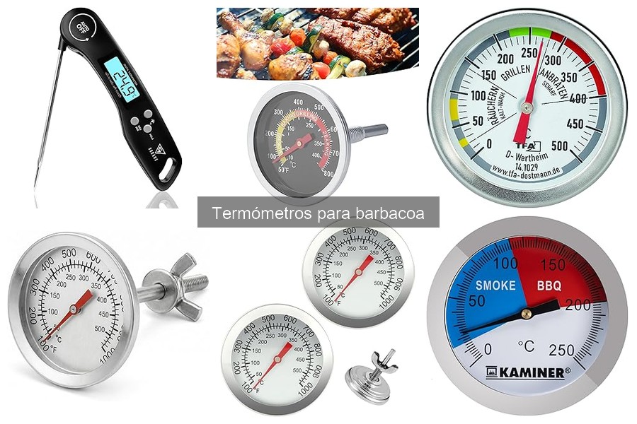 Alternativas al termómetro para barbacoa: Mejores métodos