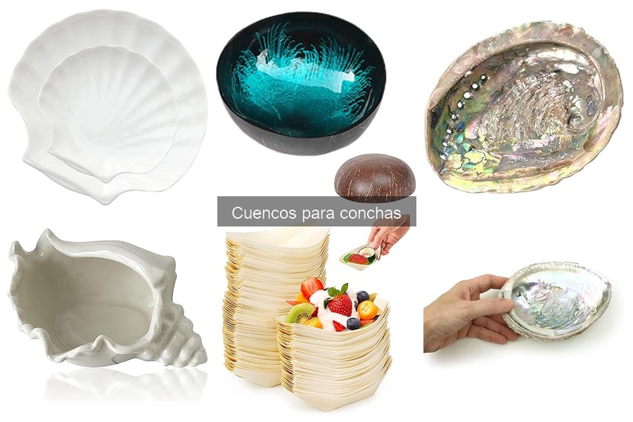 Alternativas creativas a los cuencos para conchas
