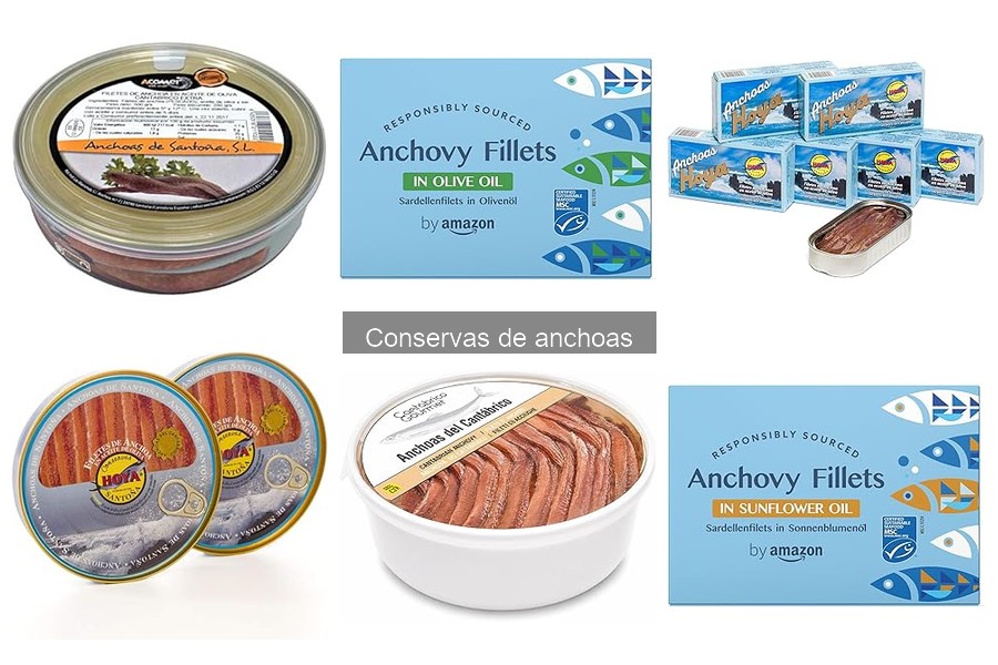 Análisis de conservas de anchoas gourmet: calidad y precio