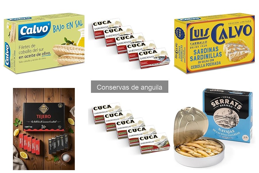 Beneficios de la anguila en conserva para tu dieta