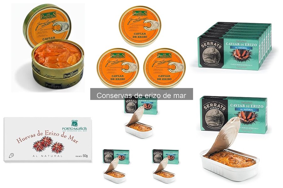 Beneficios de las Conservas de Erizo de Mar para tu Salud