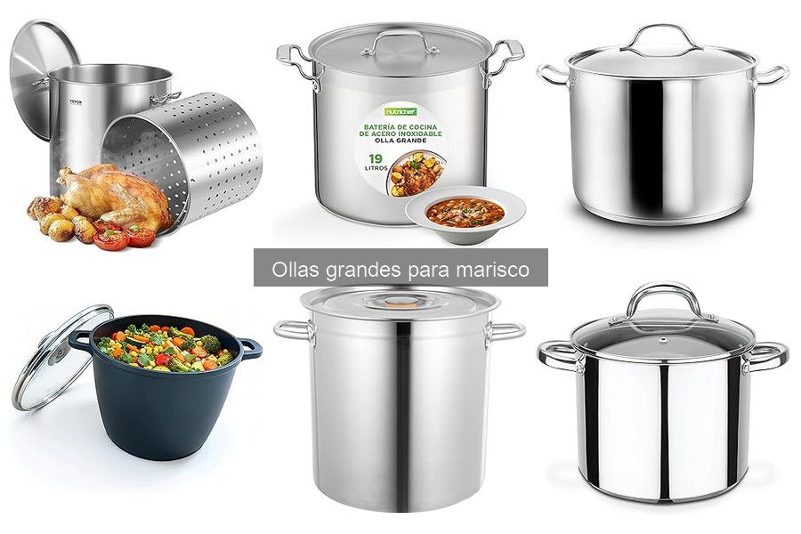 Características esenciales de ollas grandes para marisco