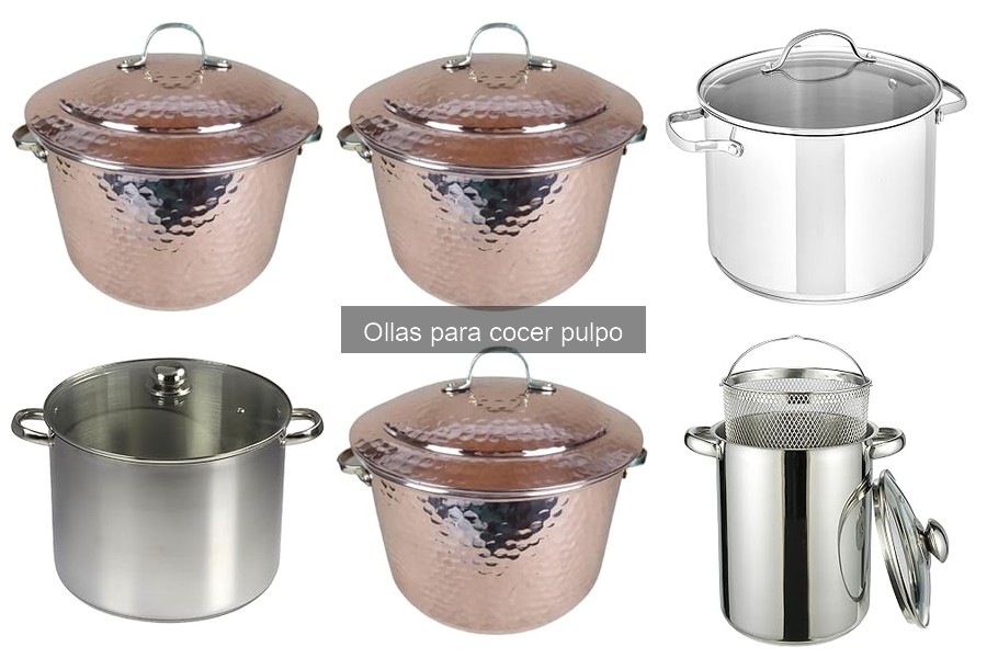 Cómo Cocer Pulpo en Olla: Guía Paso a Paso