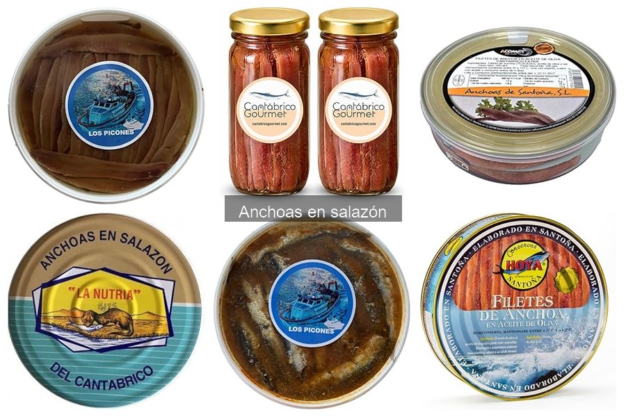 Cómo conservar anchoas en salazón y mantener su frescura