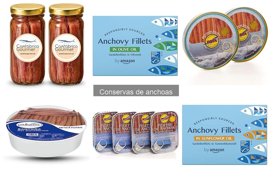 Cómo elegir conservas de anchoas de calidad | Guía de compra