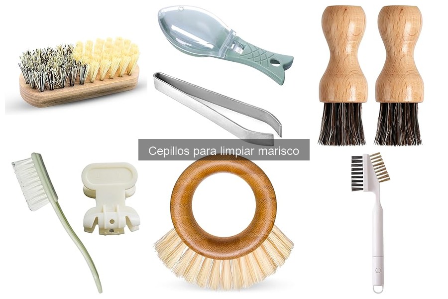Cómo elegir el mejor cepillo para limpiar marisco