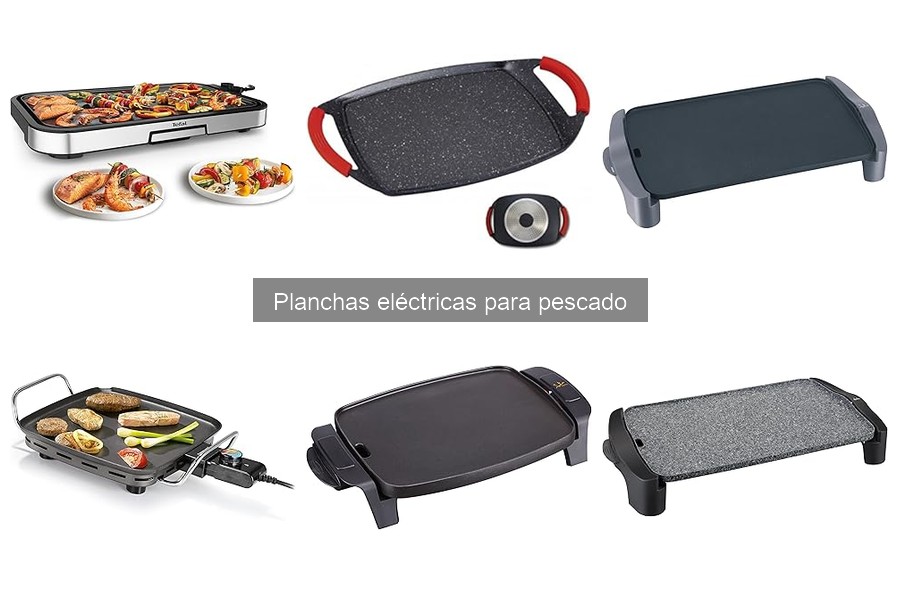 Cómo elegir la mejor plancha eléctrica para pescado