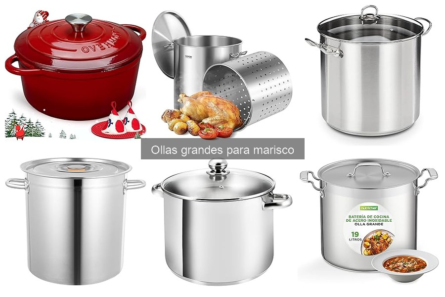 Cómo elegir la olla grande ideal para marisco