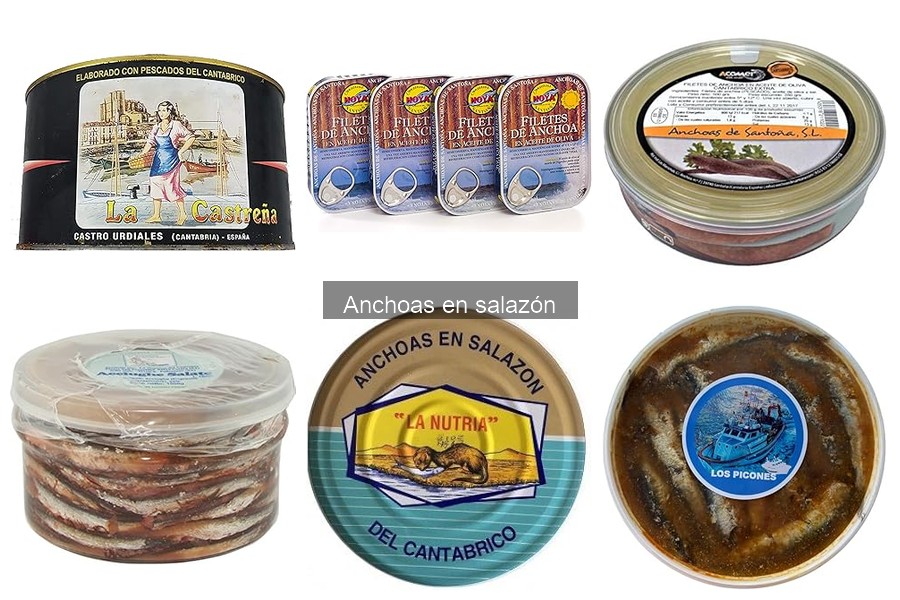 Cómo elegir las mejores anchoas en salazón: guía de compra