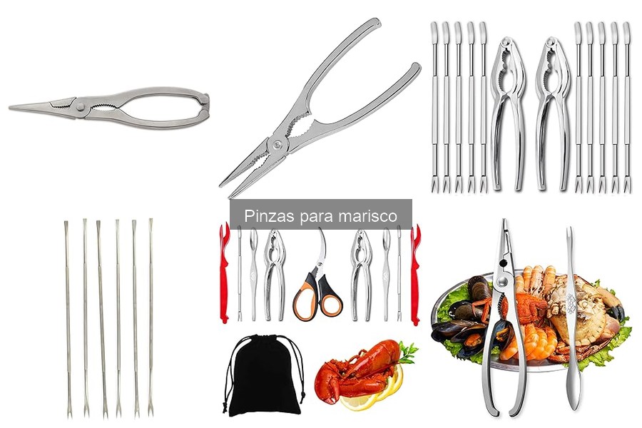 Cómo elegir las mejores pinzas para marisco