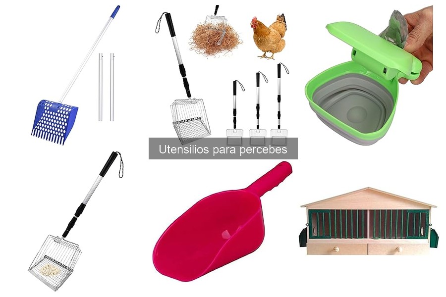 Cómo mantener tus utensilios para percebes en óptimas condiciones