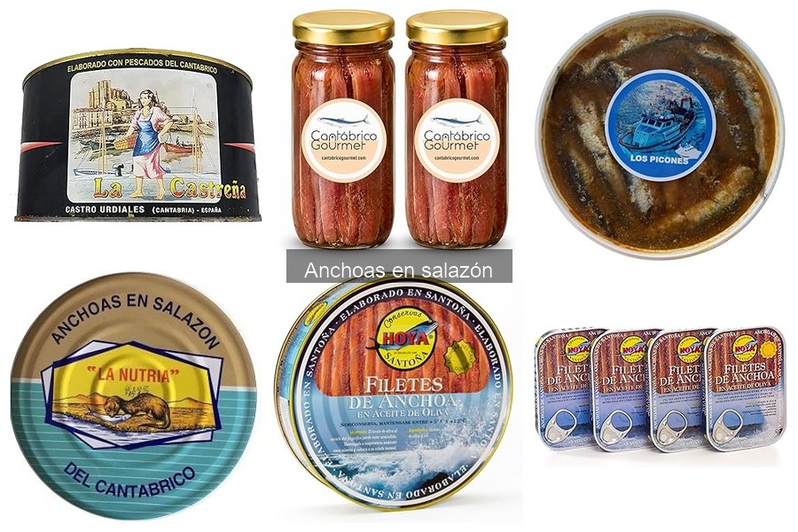 Comparativa: Anchoas en Salazón vs. Anchoas en Aceite