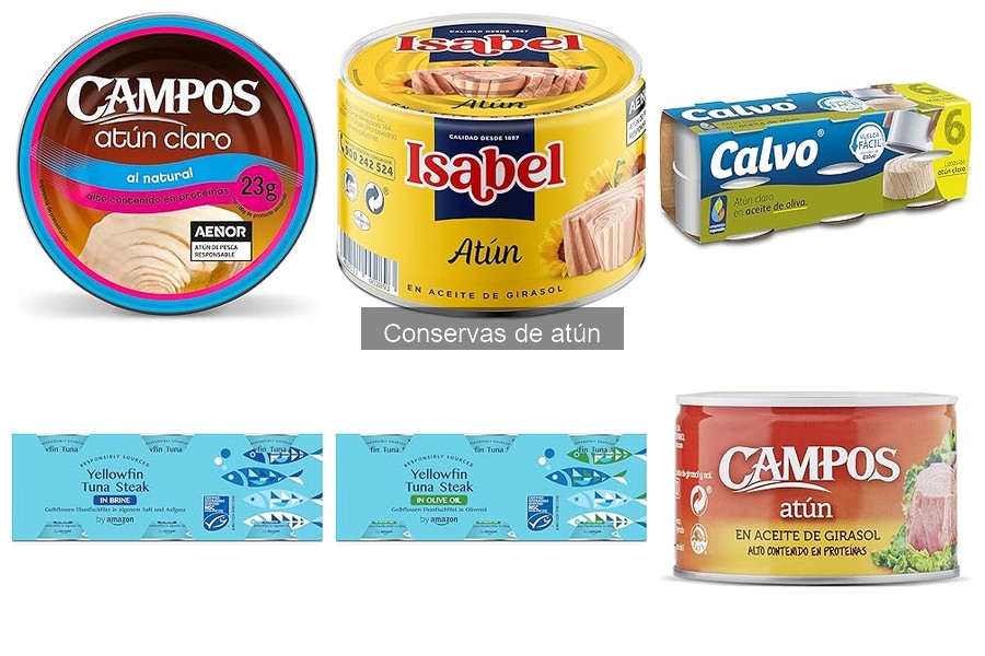 Comparativa: Atún en conserva vs. Atún fresco