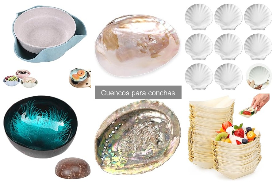 Comparativa: Cuencos de cerámica vs. plástico para conchas