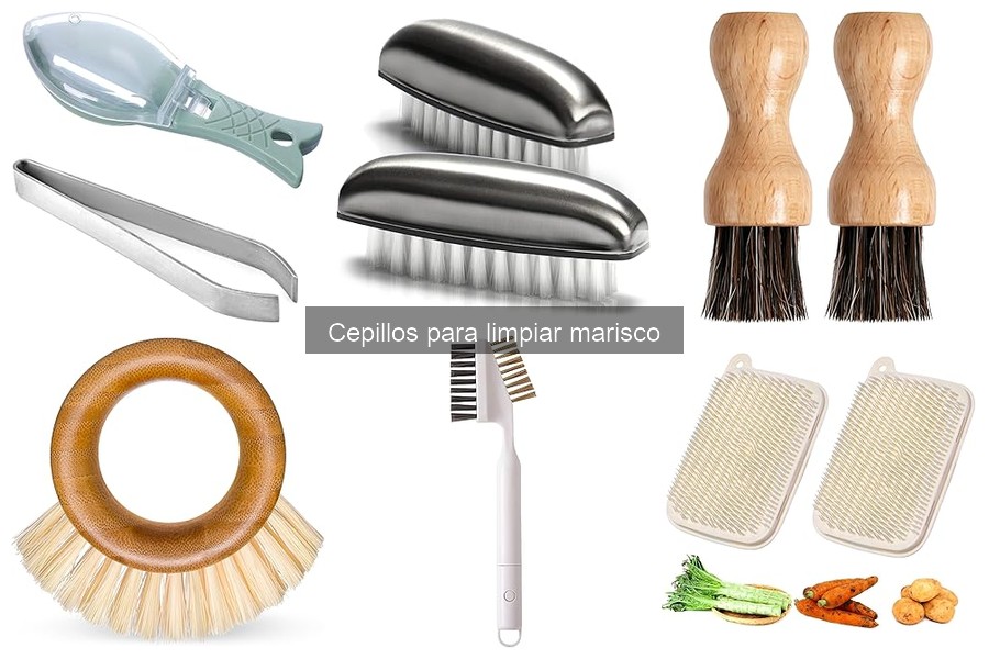 Comparativa de cepillos para limpiar marisco por marcas