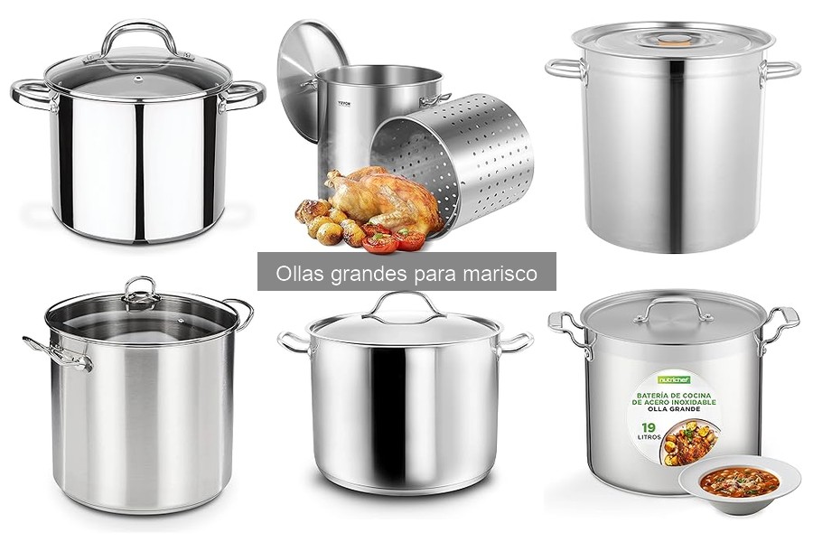 Comparativa de Ollas Grandes para Marisco: VEVOR, Nutrichef y Kopf