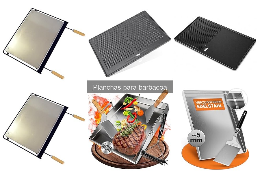 Consejos para Cocinar Mariscos en una Plancha para Barbacoa