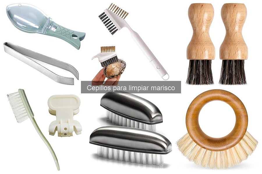 Consejos para limpiar marisco con cepillos especializados