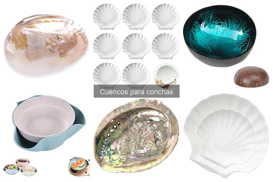 Consejos para Usar Cuencos para Conchas en tu Cocina