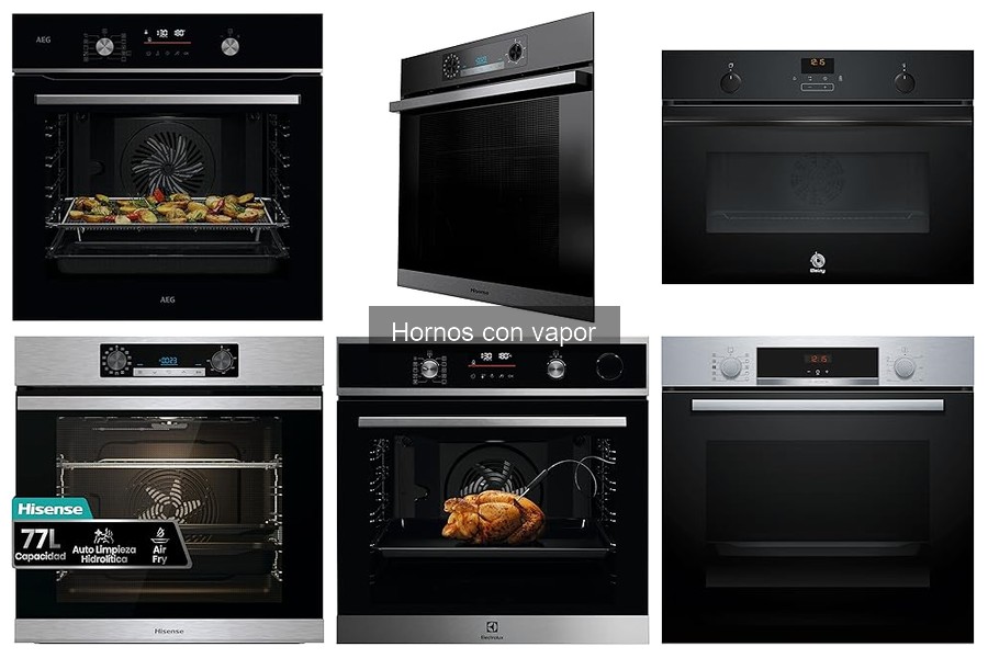 ¿Cuánto cuesta un horno con vapor? Comparativa y ofertas