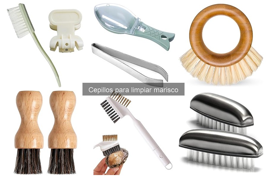 Cuidados esenciales para cepillos de limpiar marisco