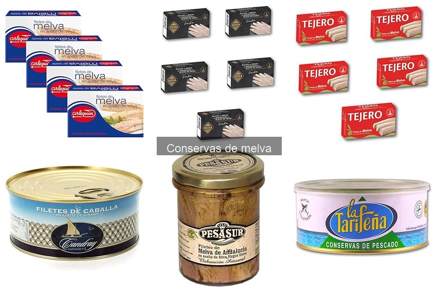Descubre la melva: características y uso en cocina