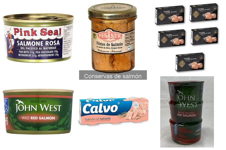 Dónde comprar conservas de salmón a buen precio