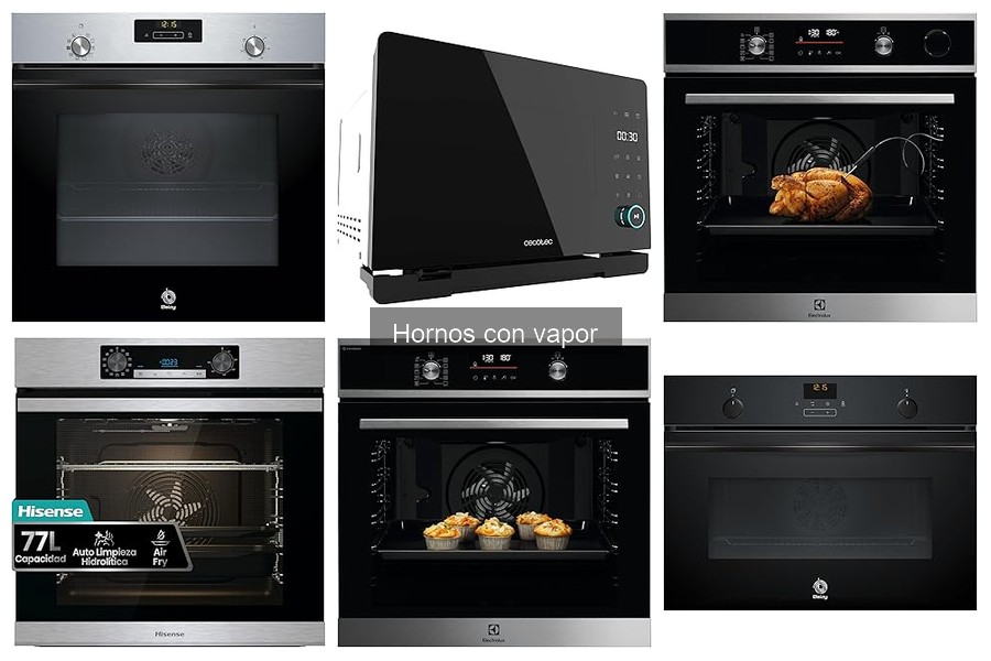 Guía de compra de hornos con vapor para cocinar mejor