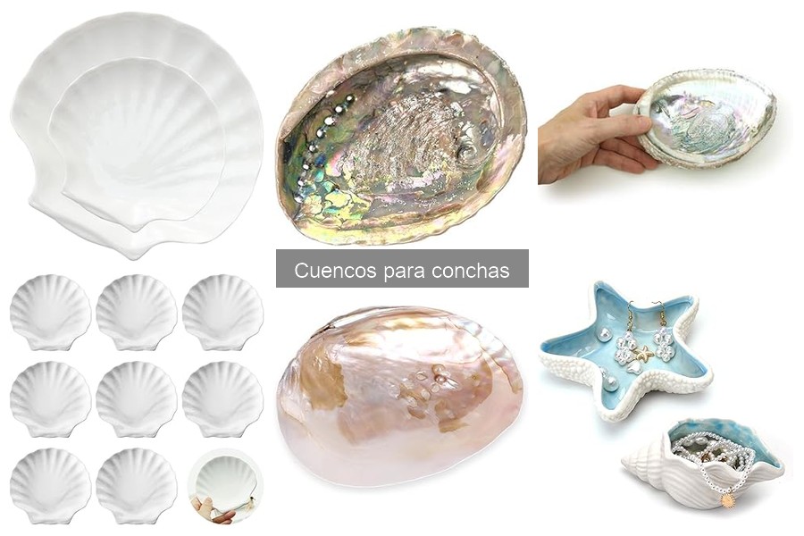 Guía para elegir el mejor cuenco para conchas