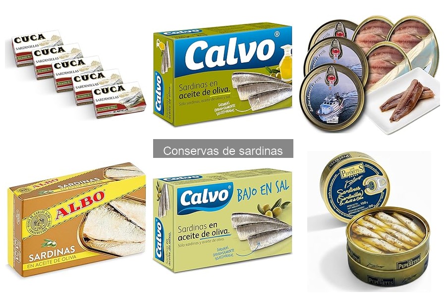 Impacto ambiental de las conservas de sardinas en el océano