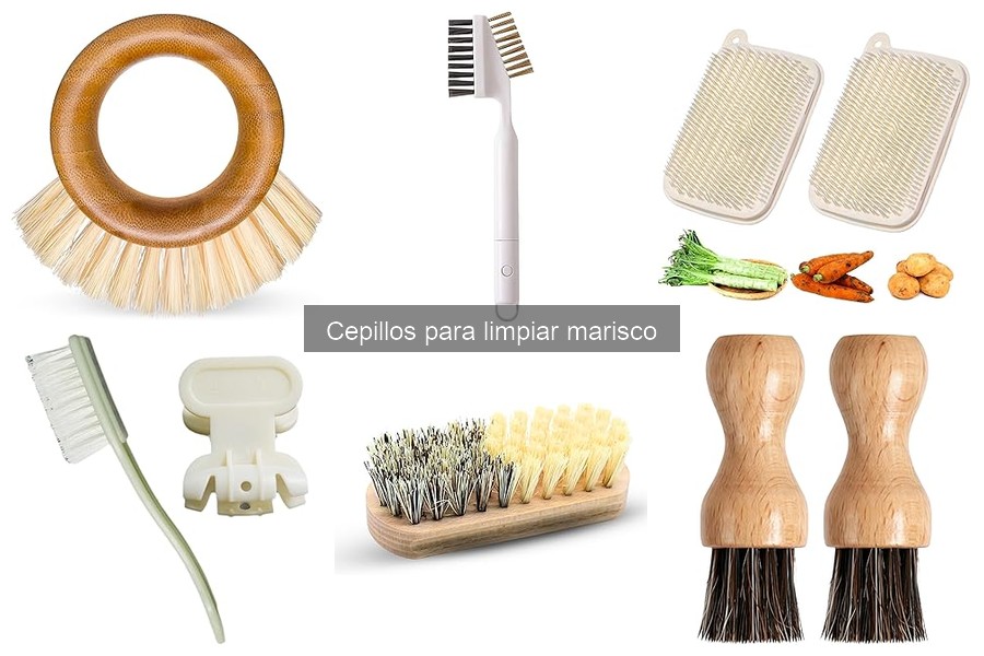 Los mejores cepillos para limpiar marisco: guía efectiva