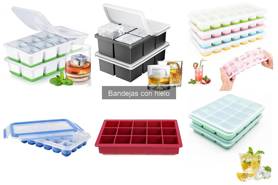 Mejores bandejas con hielo para fiestas y eventos