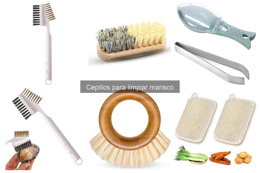 Mejores cepillos para limpiar marisco según usuarios