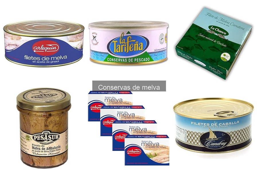 Mejores conservas de melva para tus recetas favoritas