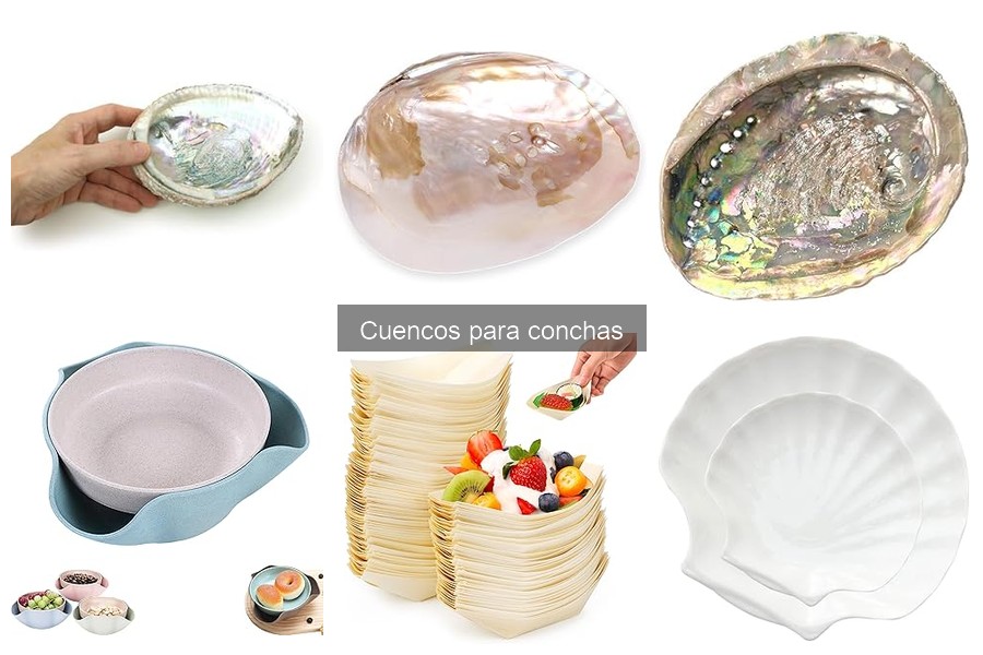 Mejores cuencos para conchas por menos de 20 euros