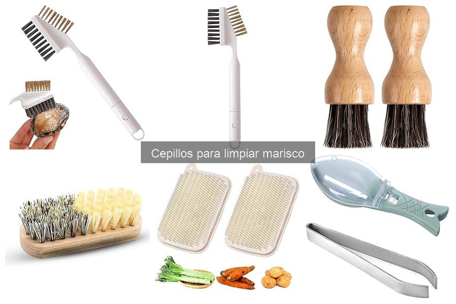 Mejores lugares para comprar cepillos de marisco baratos