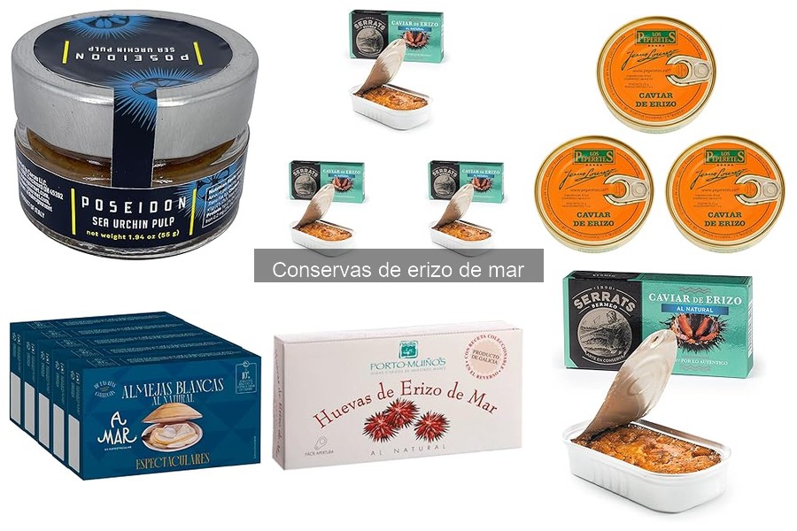 Mejores marcas de conservas de erizo de mar para disfrutar