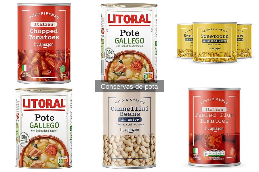 Mejores marcas de conservas de pota: calidad y sabor