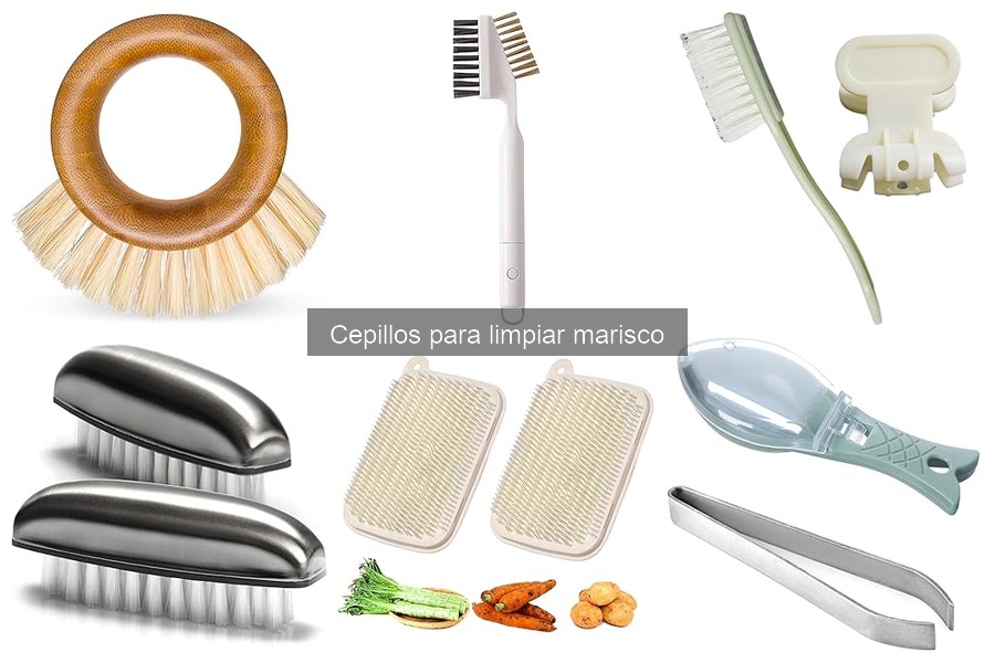 Mejores materiales para cepillos de limpieza de marisco