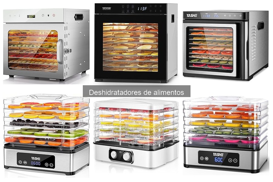 Mejores recetas para deshidratadores de alimentos en casa