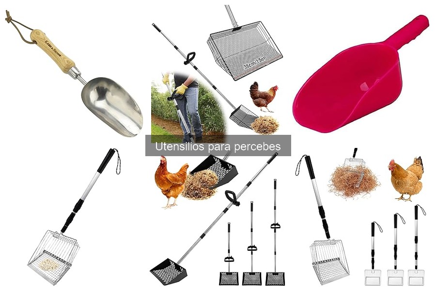 Mejores utensilios para principiantes en la cocina de percebes
