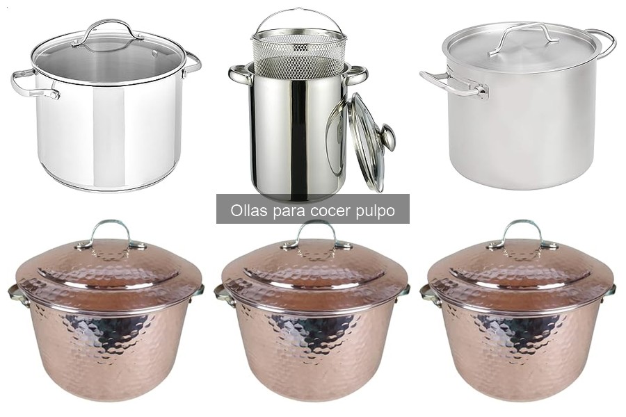 Precio de ollas para cocer pulpo: mejores opciones y recomendaciones