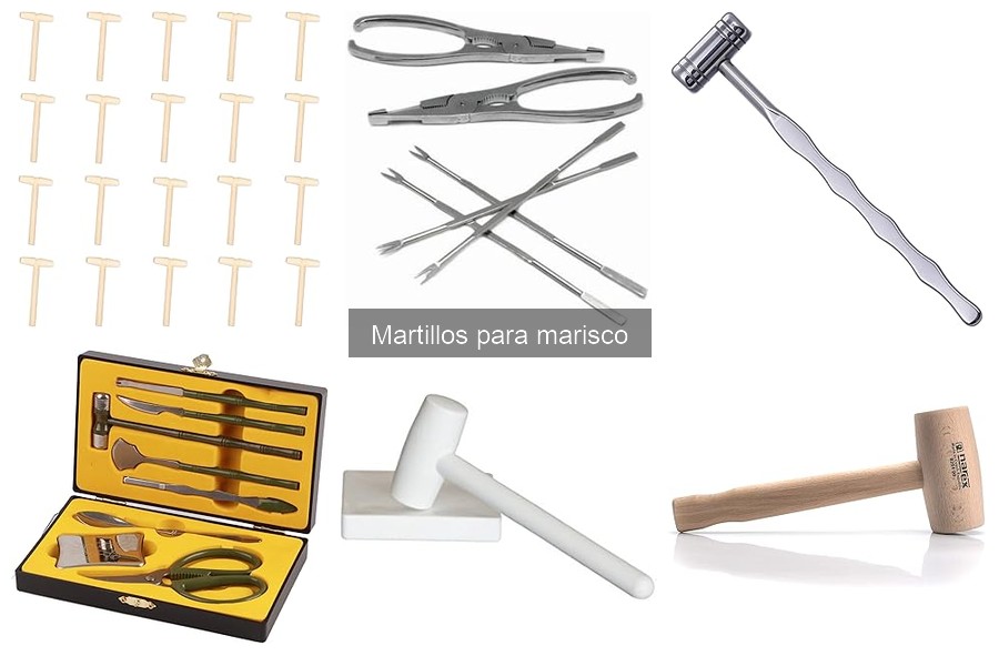 Problemas Comunes al Usar un Martillo para Marisco