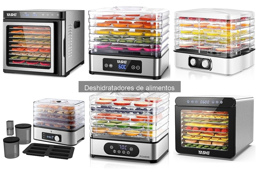 Problemas comunes con deshidratadores de alimentos resueltos