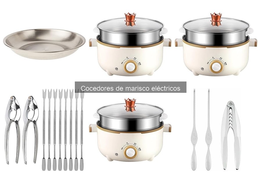¿Qué es un cocedor de marisco eléctrico? Descubre sus características