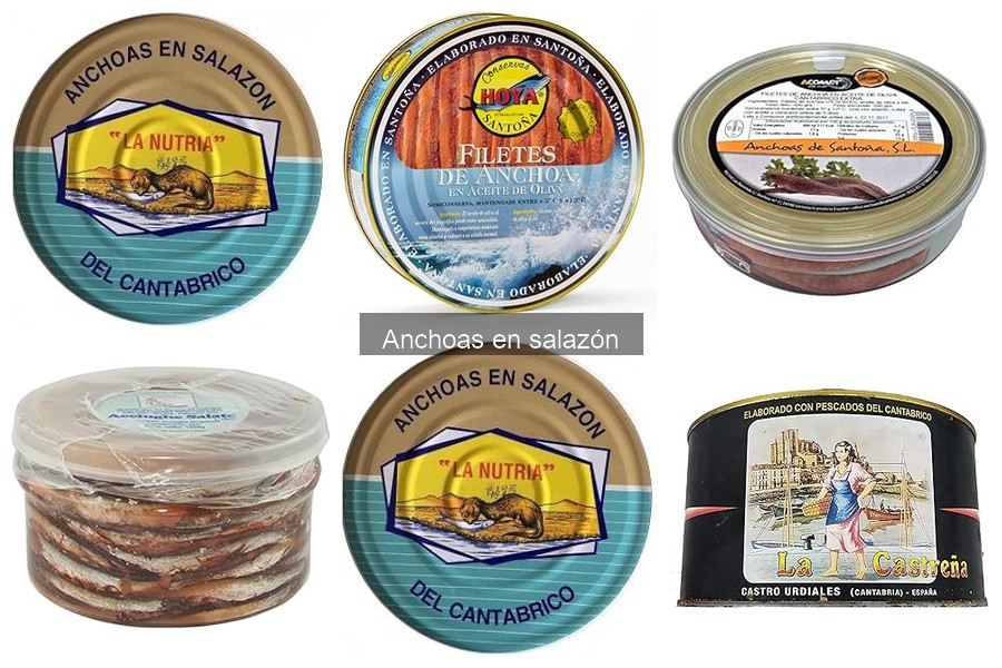 ¿Qué son las anchoas en salazón? Descubre sus secretos