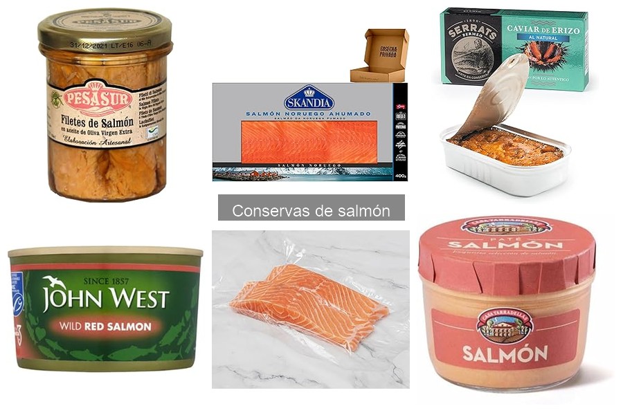 ¿Qué son las conservas de salmón y sus beneficios?
